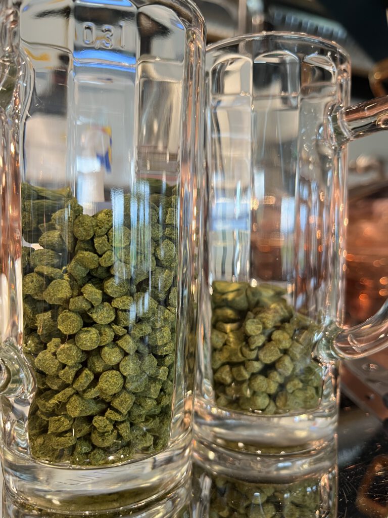 Der gute Hopfen im Glas bereits abgewogen